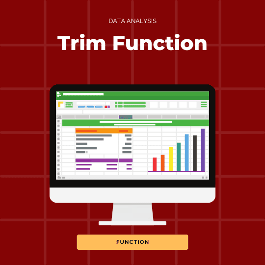 Trim Function Excel