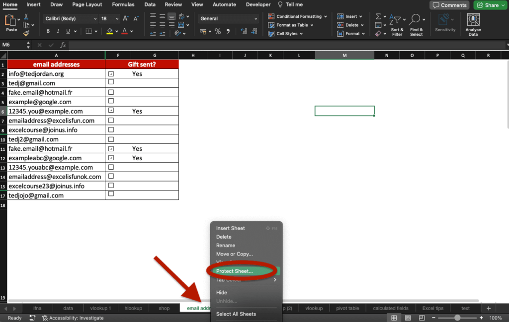 Excel workbook highlighting how to protect a specific sheet.