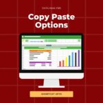 Cope Paste Options on excel with shortcut keys