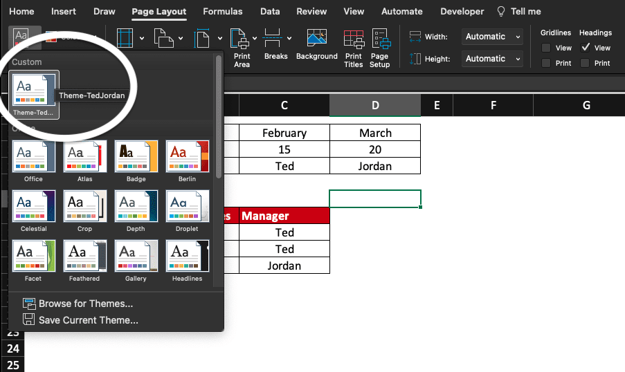 Example of renamed custom theme in Excel.