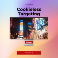 Cookieless Targeting Solutions in Programmatic